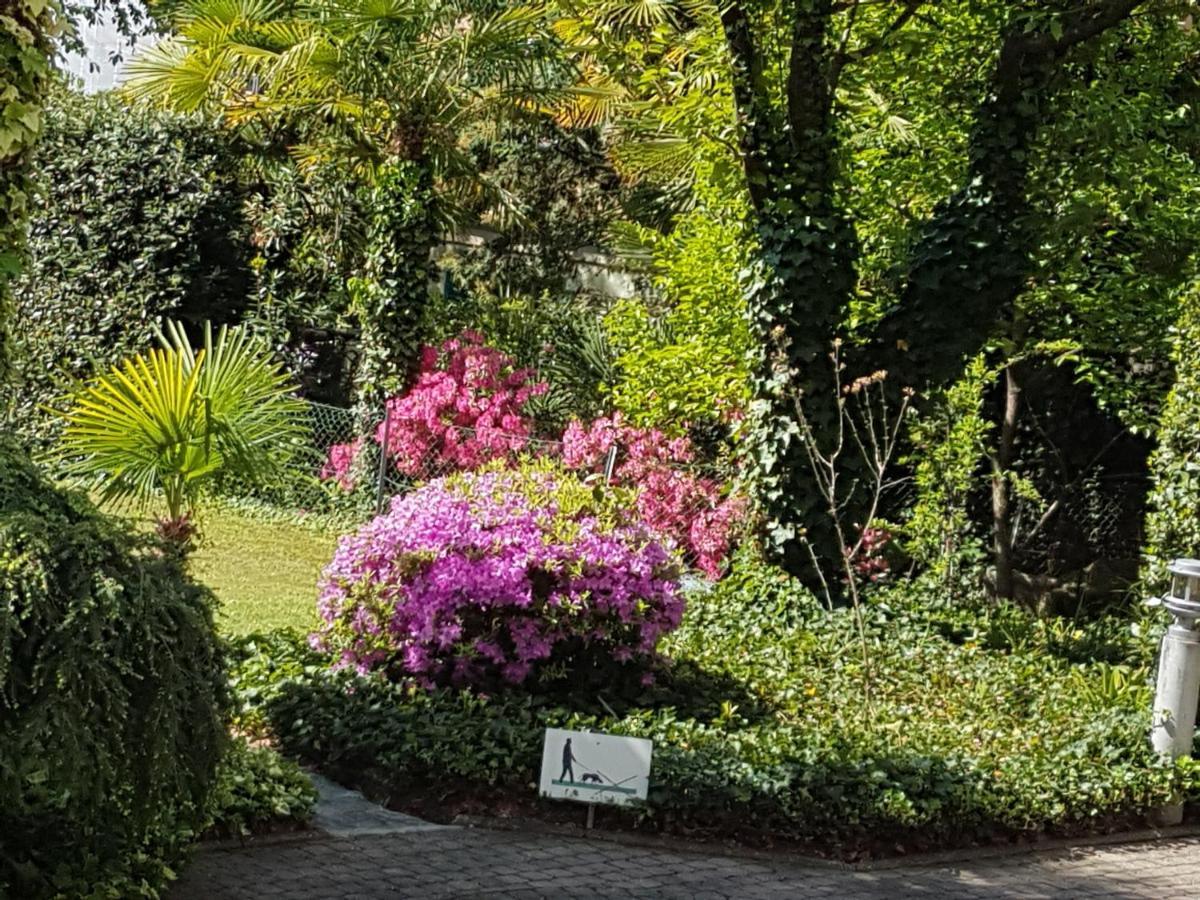 Opal Daire Muralto Dış mekan fotoğraf